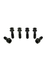 Extralite Racing Products Extralite HyperStem Titanium Torx Bolt