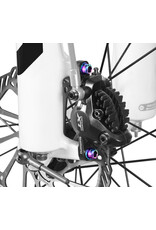 Risk Parts Risk Titanium Hydraulic Brake Caliper Bolt / Washer RT-038