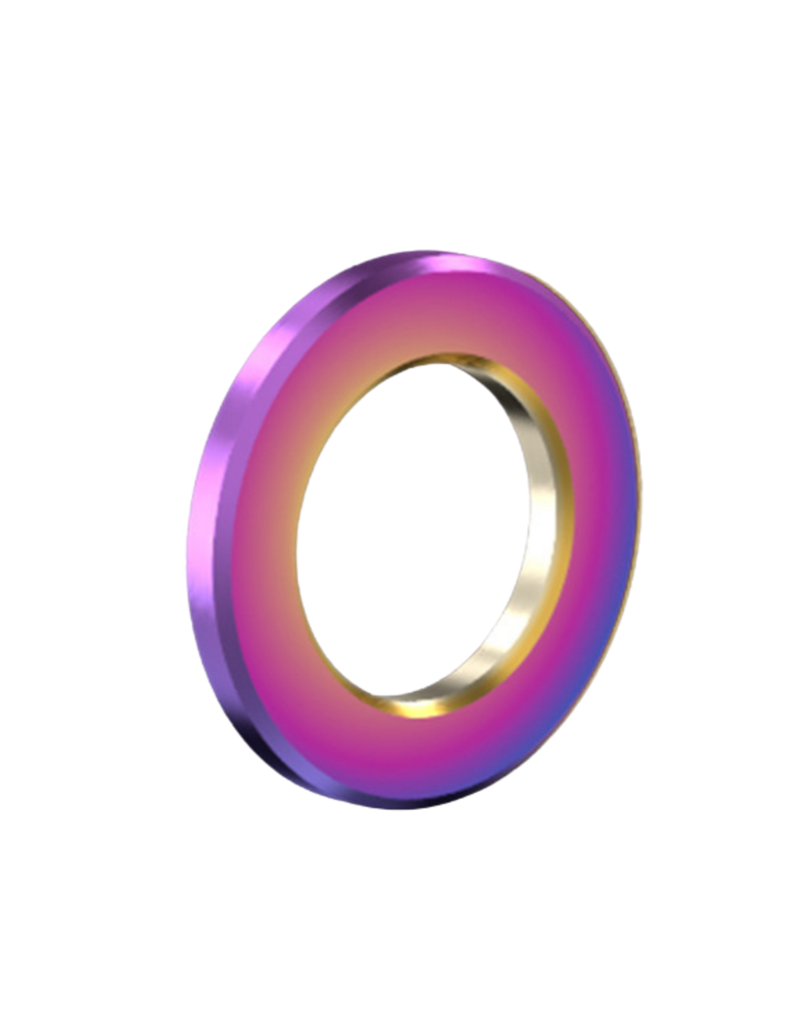 Risk Parts Risk Titanium M5 / M6 Flat Washer RT-010 / 011