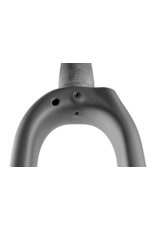 ENVE Composites ENVE Adventure Fork