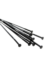 Sapim Sapim CX-Ray Straight-Pull Spokes