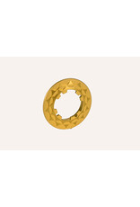 Chaser Sports Centerlock Lockring