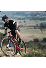 Scott Sports Scott Scale Bike / Frame
