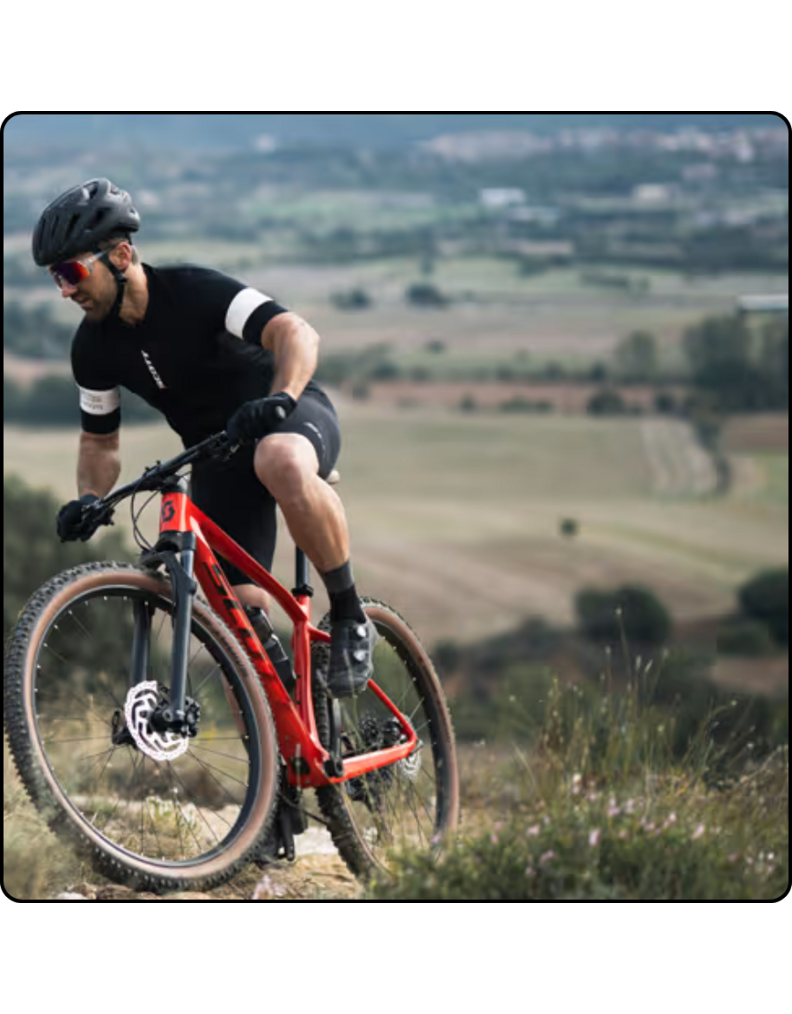 Scott Sports Scott Scale Bike / Frame