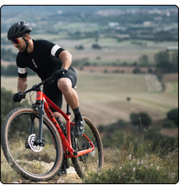 Scott Sports Scott Scale Bike / Frame