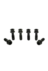 Extralite Racing Products Extralite HyperStem Titanium Torx Bolt
