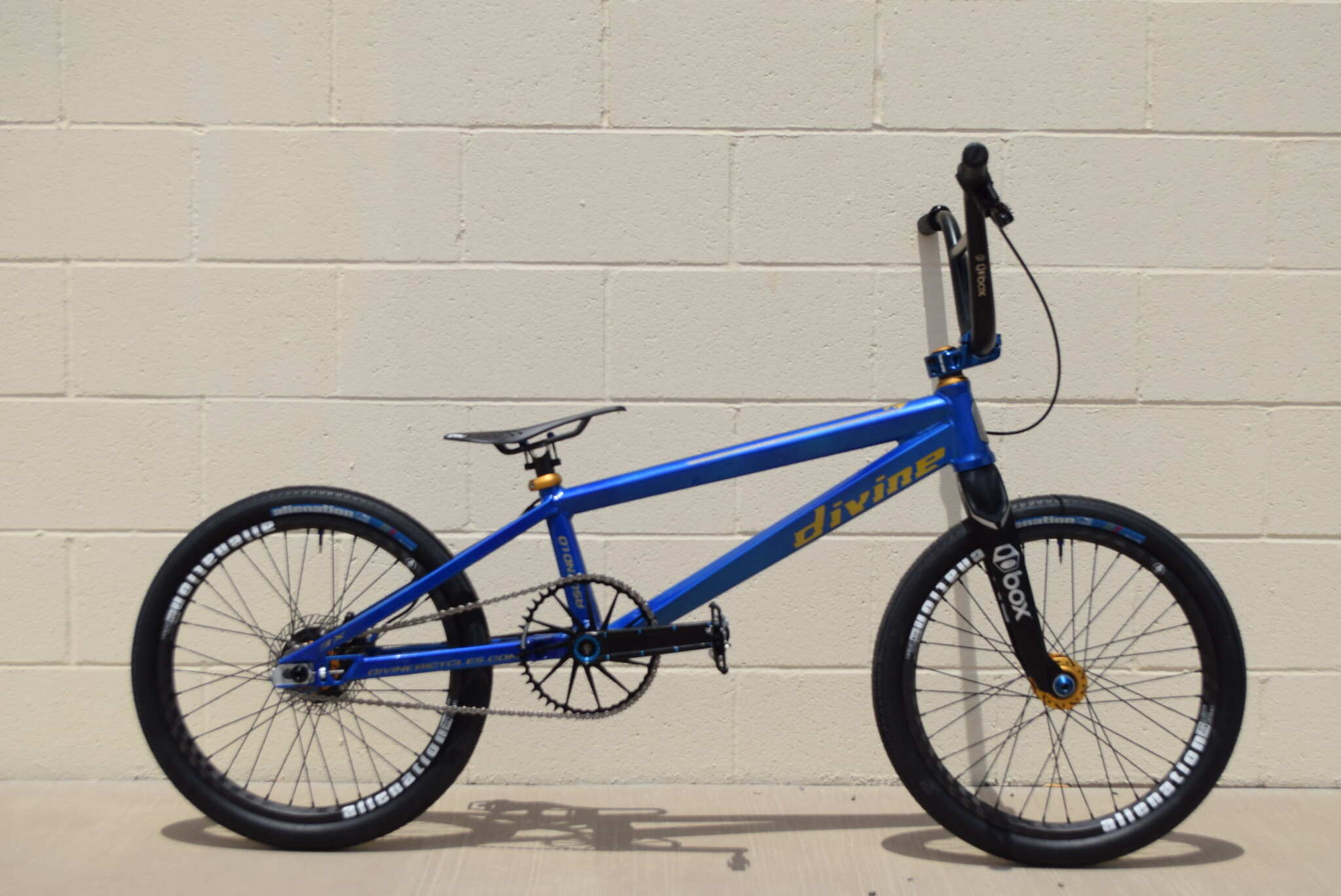Divine Bicycle Co. | BMX bikes designed by a World Champion
