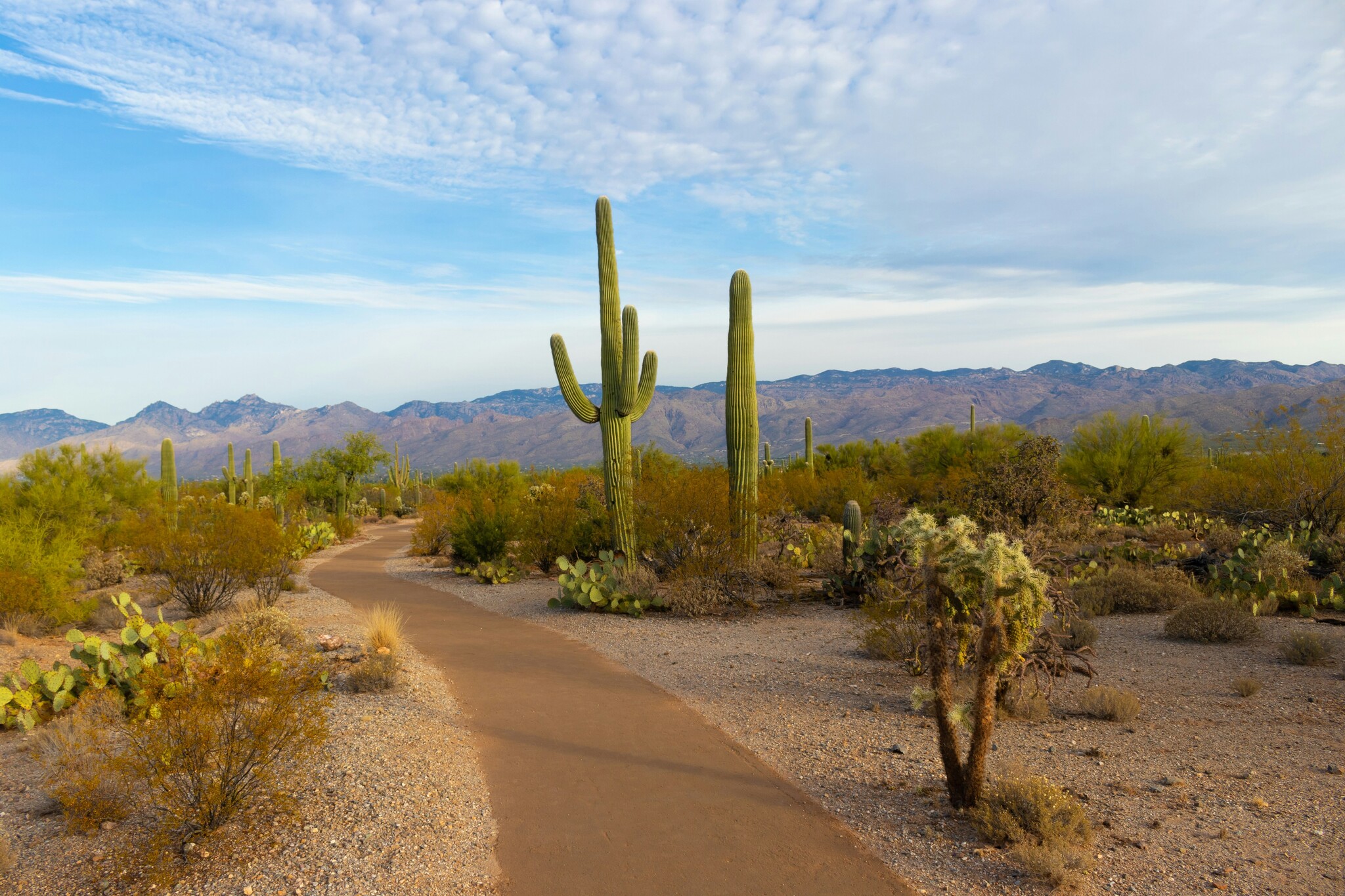 Tucson Leisure Cycling Routes 
