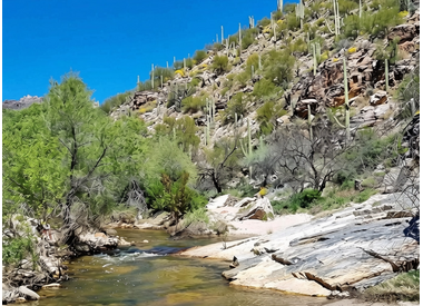 Mount Lemmon & Redington Gravel Routes