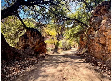 Patagonia & San Rafael Valley Gravel Routes