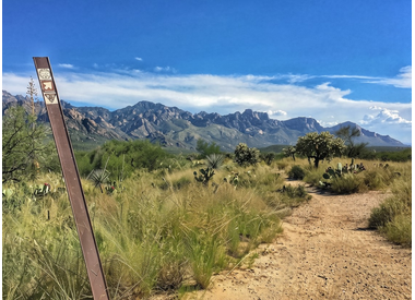 Oro Valley & Catalina Gravel Routes