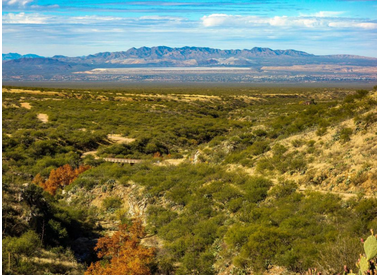 Santa Rita Mountains