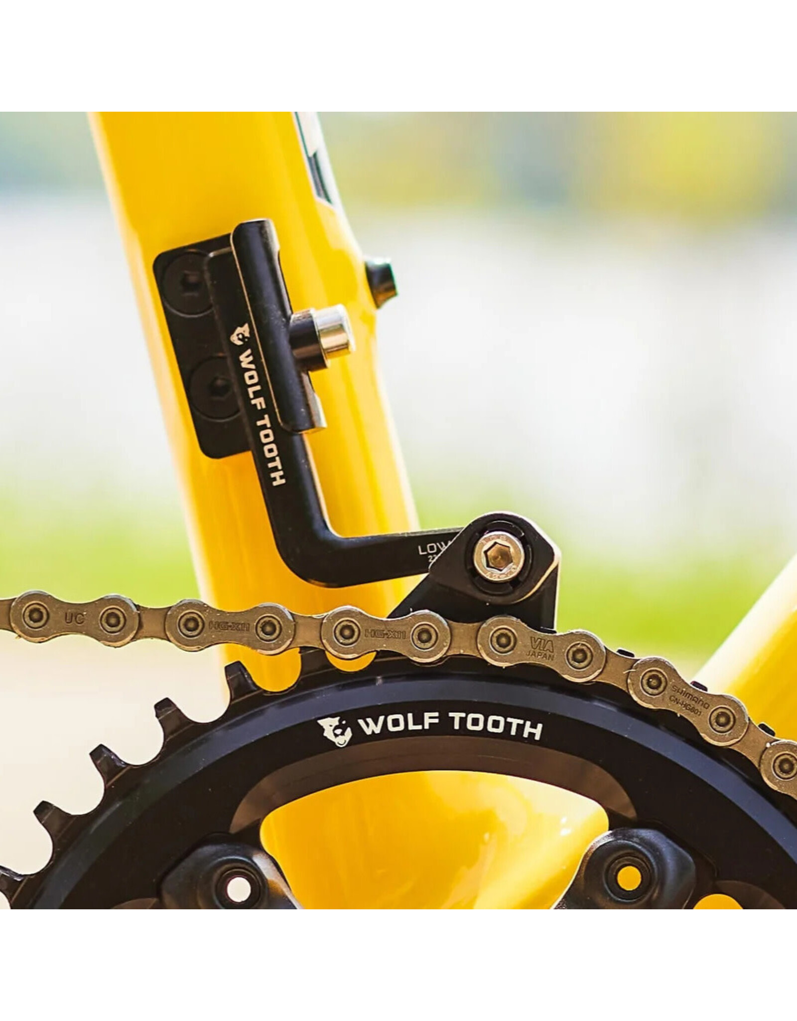 ENVE Composites ENVE x Wolf Tooth LoneWolf Chainguide