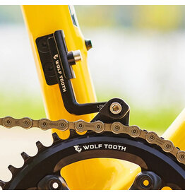 ENVE Composites ENVE x Wolf Tooth LoneWolf Chainguide