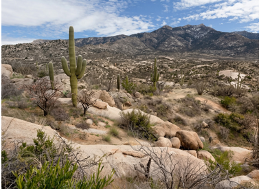 Mountain Bike Routes