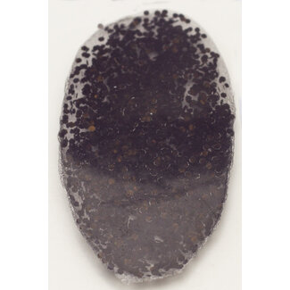 Glam and Glits Glam and Glits - 638 - Black Forest Cake - 1 oz