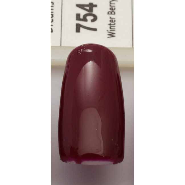 DND DND - 0 754 - Winter Berry - DUO Polish