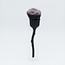 The Studio The Studio - Rose Dust Brush - Black