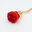 The Studio The Studio - Rose Dust Brush - Red