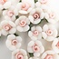 The Studio The Studio - 3D Art #01 - Flowers - White