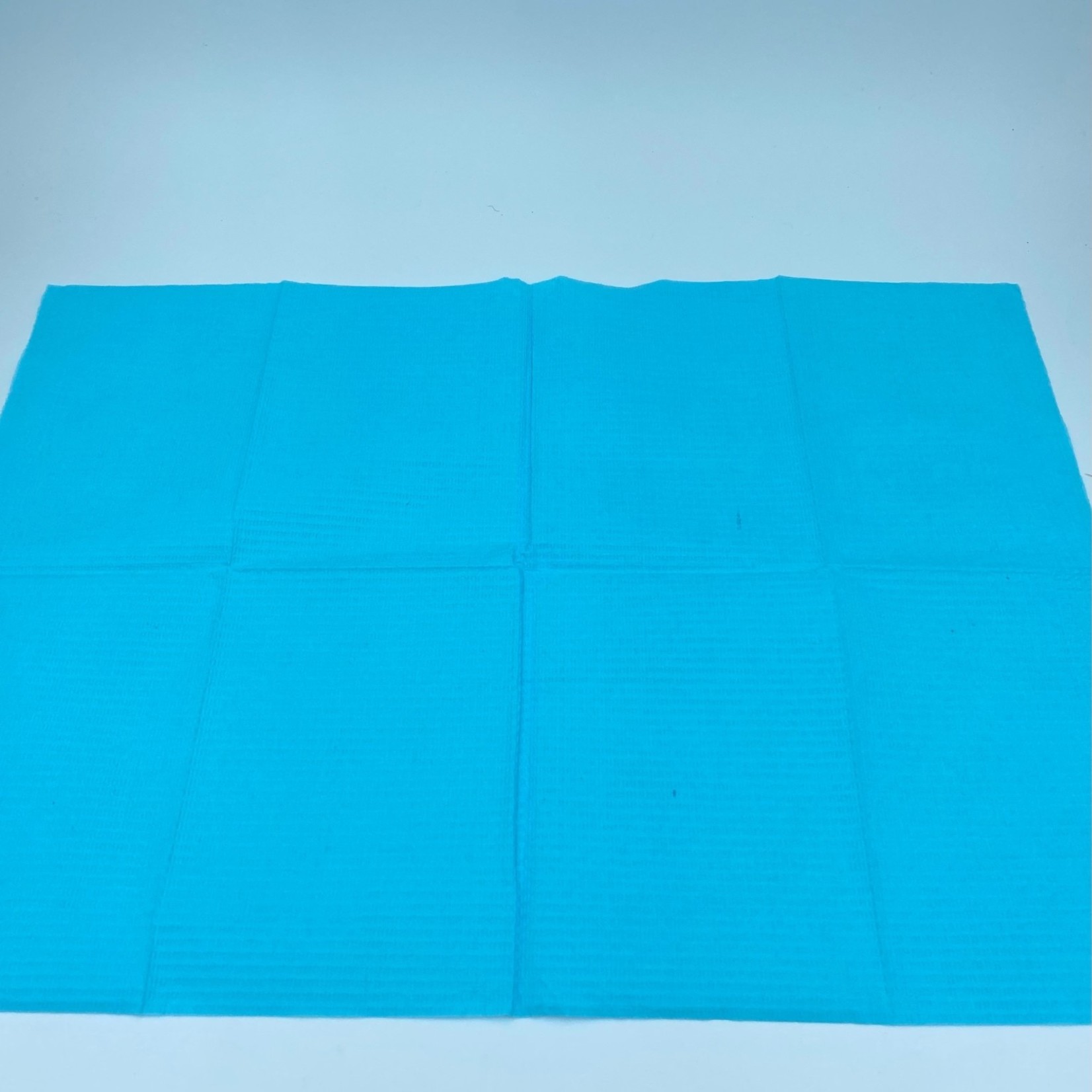 The Studio Disposable Towels - Table Liners/ Bibs - Blue - 50 ct