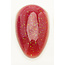 Chisel Chisel - Candy 10 - AIO Powder - 2 oz