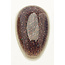 Chisel Chisel - Glitter 17 - AIO Powder - 2 oz