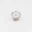 The Studio The Studio - Holographic Dappen Dish - #9