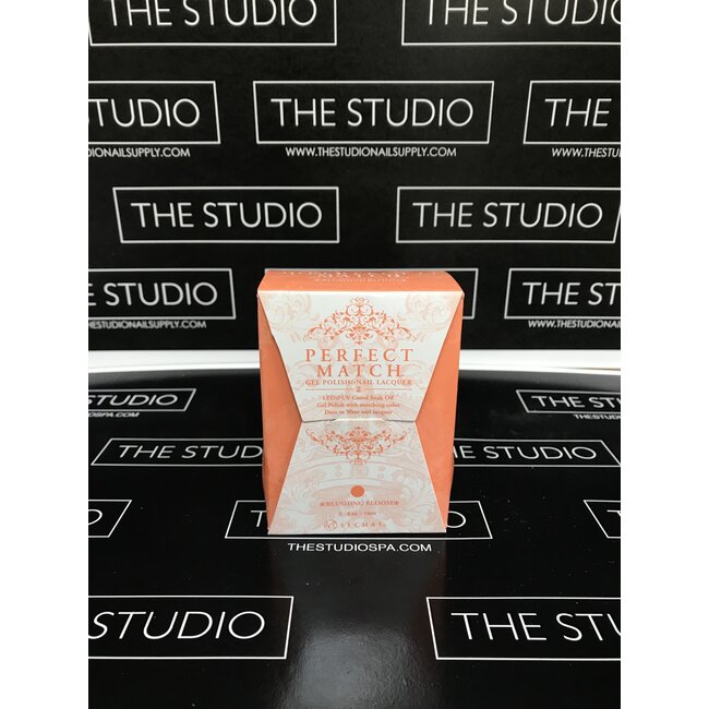 Perfect Match - 171 - DUO Polish - Blushing Bloom