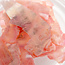 The Studio The Studio - Art Pack #123 - Assorted Crushed Seashells - 6 pcs