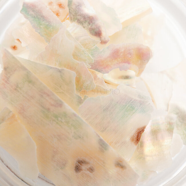 The Studio - Art Pack #123 - Assorted Crushed Seashells - 6 pcs