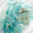 The Studio The Studio - Art Pack #123 - Assorted Crushed Seashells - 6 pcs