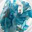The Studio The Studio - Art Pack #123 - Assorted Crushed Seashells - 6 pcs