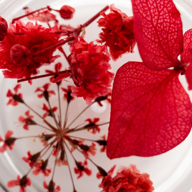 The Studio - Art Pack #116 - Assorted Nail Art - 6 pcs