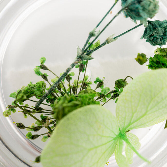 The Studio - Art Pack #116 - Assorted Nail Art - 6 pcs