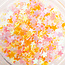 The Studio - Art Pack #126 - Assorted Confetti - 6 pcs