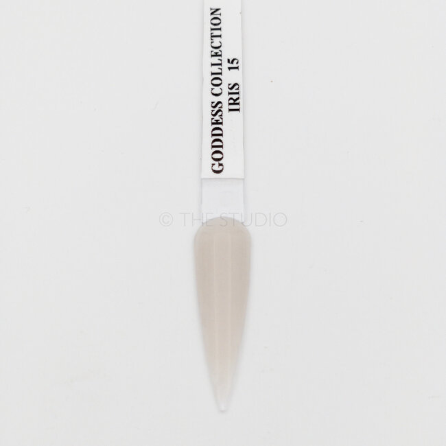 The Studio - Acrylic Powder - Iris - 15 -