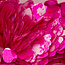 The Studio The Studio - Art Pack #218 - Assorted Heart Confetti - 12 pcs - 018