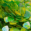 The Studio The Studio - Art Pack #218 - Assorted Heart Confetti - 12 pcs - 018