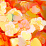The Studio - Art Pack #218 - Assorted Heart Confetti - 12 pcs - 018