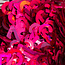 The Studio The Studio - Art Pack #092 - Assorted Colored Numbers - 003 - 12 pcs