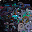 The Studio The Studio - Art Pack #092 - Assorted Colored Numbers - 003 - 12 pcs