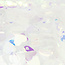 The Studio The Studio - Art Pack #121 - Assorted Nail Art - 12 pcs - 008