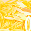 The Studio - Art Pack #220 - Assorted Yellow Confetti - 12 pcs - 004