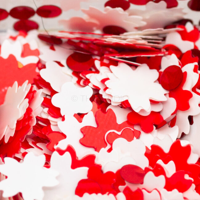 The Studio - Art Pack #221 - Assorted  Confetti - 12 pcs - 002