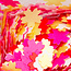 The Studio The Studio - Art Pack #221 - Assorted  Confetti - 12 pcs - 002