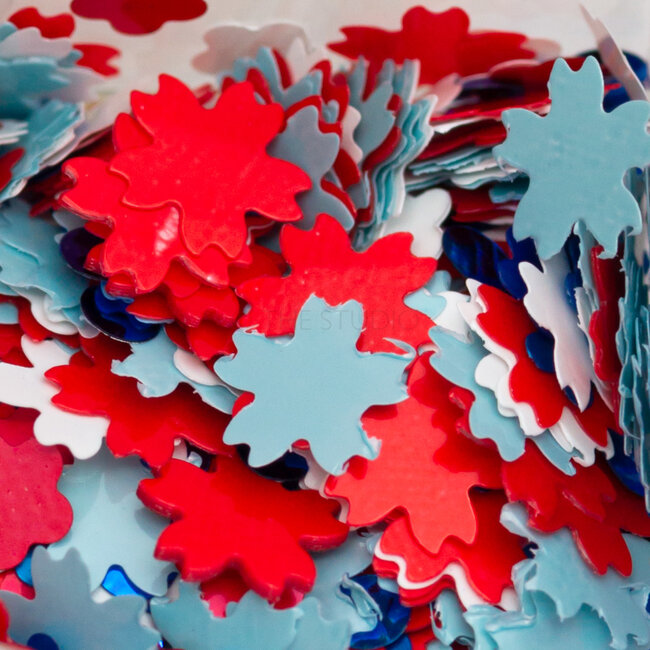 The Studio - Art Pack #221 - Assorted  Confetti - 12 pcs - 002
