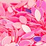 The Studio The Studio - Art Pack #119 - Assorted Nail Art - 12 pcs - 009