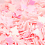The Studio The Studio - Art Pack #119 - Assorted Nail Art - 12 pcs - 009