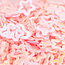 The Studio The Studio - Art Pack #119 - Assorted Nail Art - 12 pcs - 009
